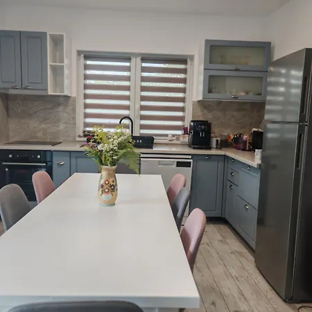 Holiday home Freya House Valea Avrigului *